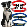 Polyester Pet Collar